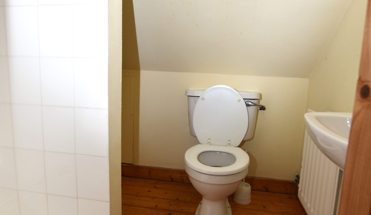 attic wc